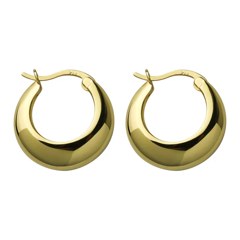 Women's Luxurious Gold Hoop Earrings